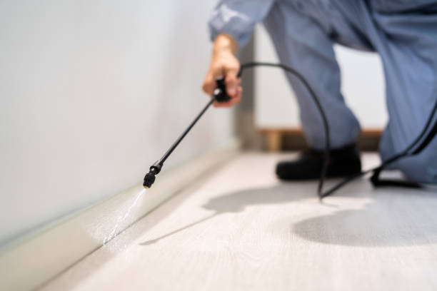 Rodent Entry Point Assessment in Middletown