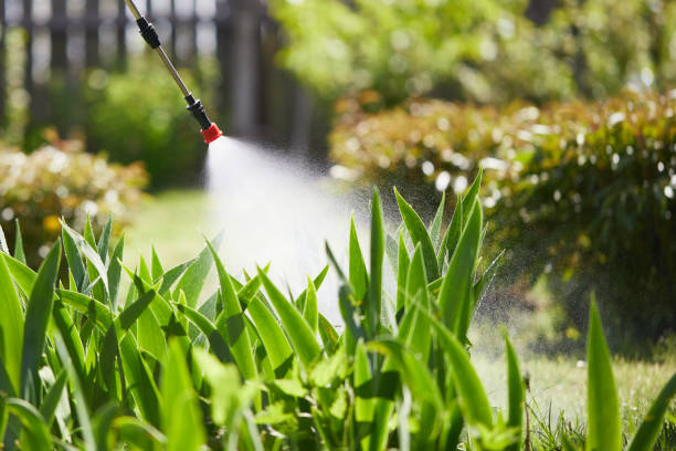 Tamper-Resistant Bait Stations for Rodents in Middletown