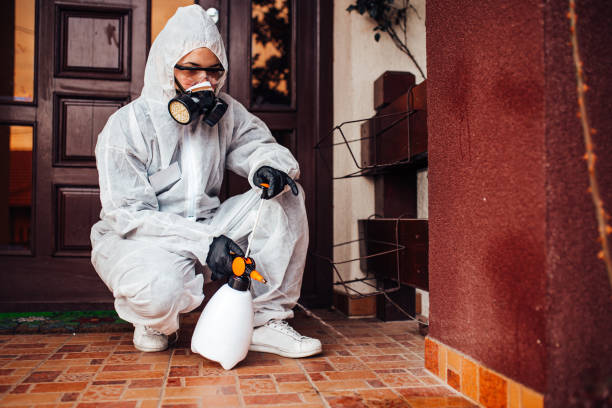 Attic and Crawl Space Rodent Treatment in Middletown