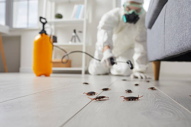 Commercial Rodent Management in Middletown